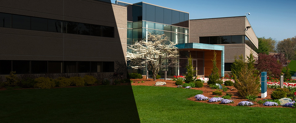 Scotland Neck Landscapers