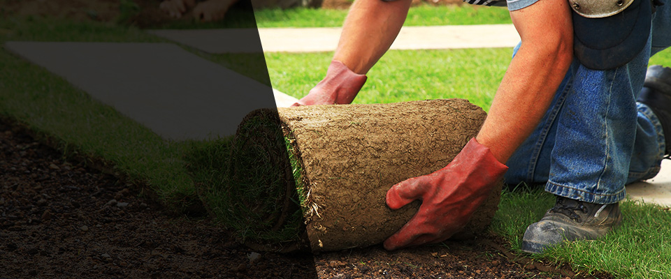 Scotland Neck Landscapers